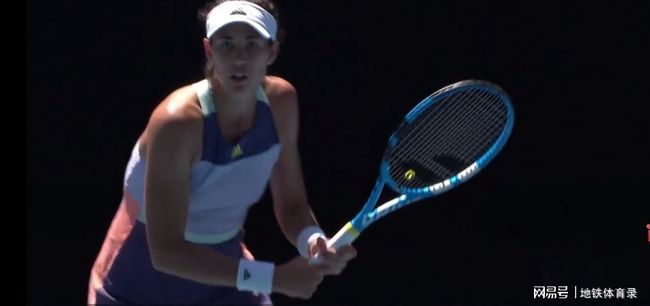 森林能回笼 森林能回笼